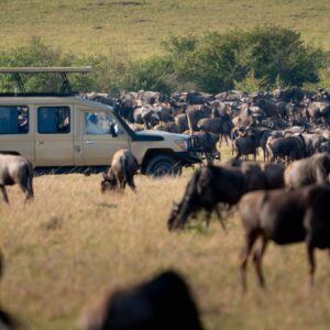 Best Tour Safari Packages in Kenya