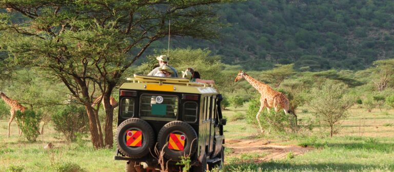 Rental Car in Kenya